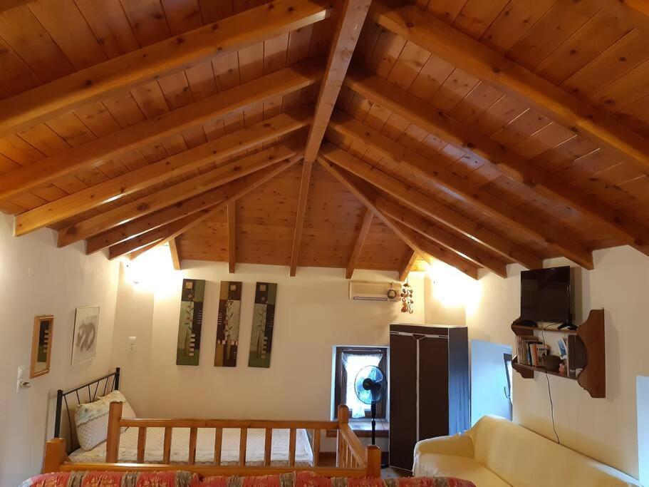 Kouros Villa! Paltsi Pilion Bagian luar foto