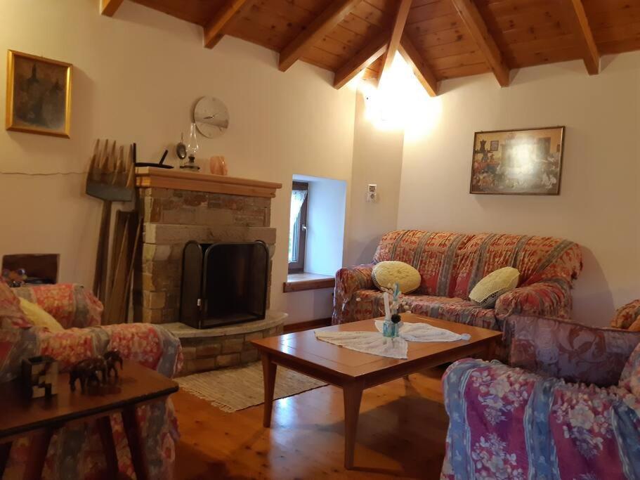 Kouros Villa! Paltsi Pilion Bagian luar foto