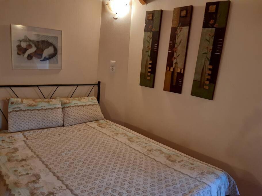 Kouros Villa! Paltsi Pilion Bagian luar foto