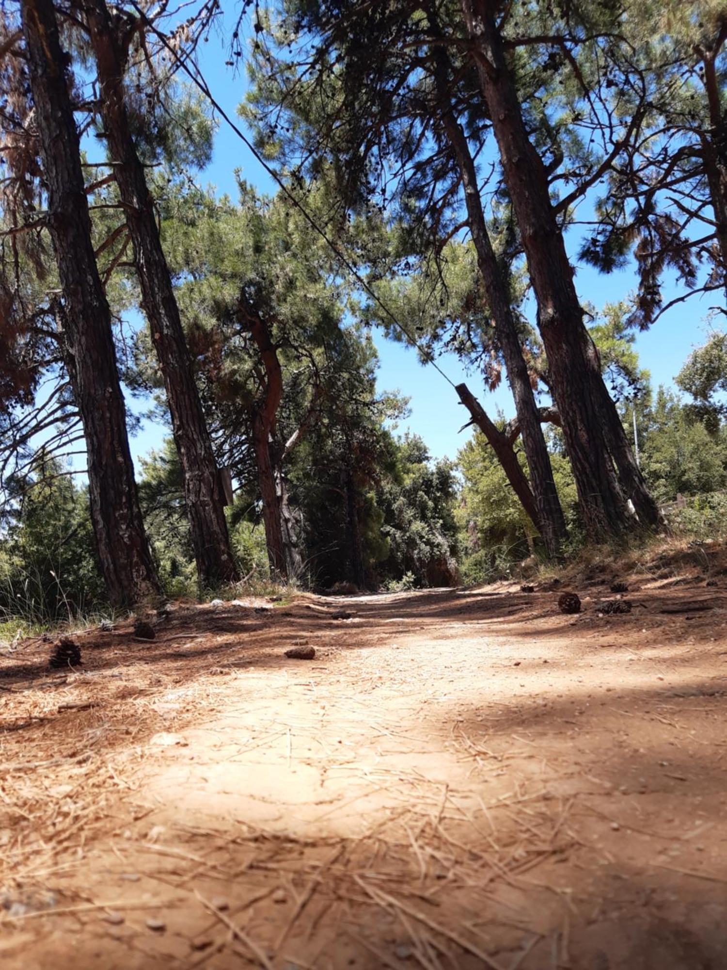 Kouros Villa! Paltsi Pilion Bagian luar foto