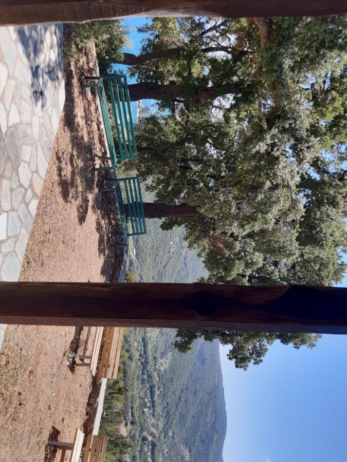 Kouros Villa! Paltsi Pilion Bagian luar foto